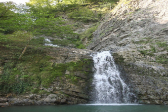 Экскурсия по Сочи для детей и родителей: ферма, аквариум и парк развлечений