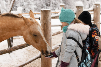Новогодняя эко-экскурсия: кормление оленей и верховая прогулка