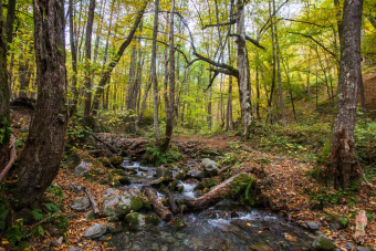 Увлекательный тур по каньонам Сочи — джиппинг в лучших локациях