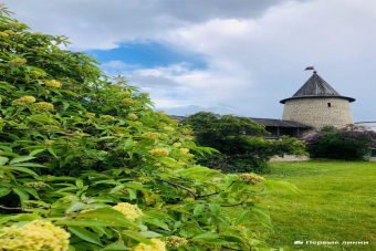 Экскурсия в Псков — Изборск — Печоры