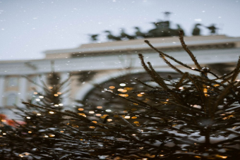 Новогодний Петербург. Сказка тысячи огней