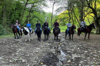 Конная прогулка по заповедным тропам