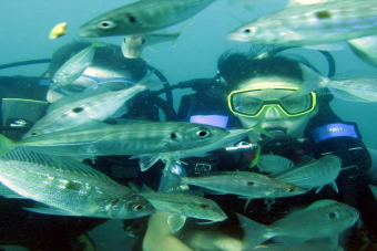 Дайвинг в Черном море