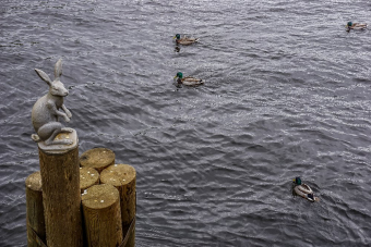 «Сердце Северной столицы»: Петропавловская крепость и детский квест