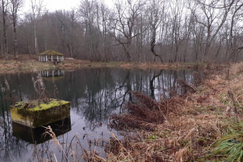 Усадьба Гостилицы. Экскурсия по парку