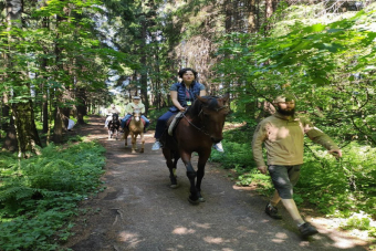 Конная экскурсия «Имение Шуваловых»