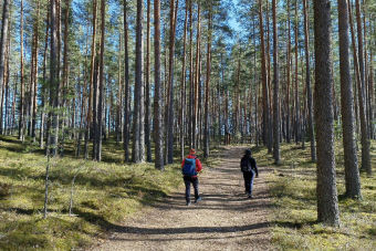 Семейная прогулка по ледниковой гряде