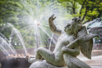 Петергоф — дачная столица русской империи