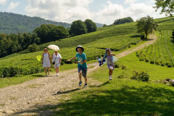 Сочи, который вы не знали: дикая природа Солох-Аула, с комфортом