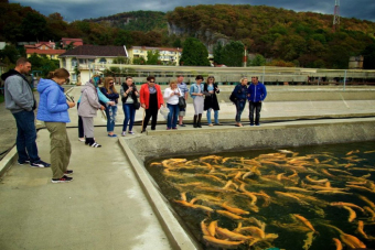 Рыбалка и экскурсия на Форелевом хозяйстве