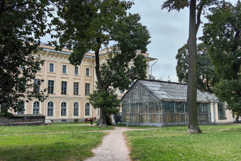 Пешеходная экскурсия по Васильевскому острову