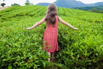 Активный день в Сочи: поход к змейковский водопадам через плантации чая