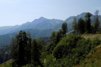 Красная Поляна: от горных вершин до поющих фонтанов