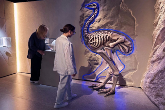 Входной билет в Музей Арт и Факты (МАФ)