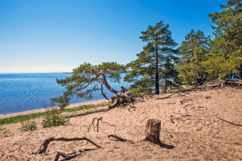 Сила природы Карелии в трёхдневном туре