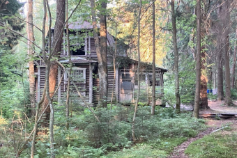 Морская сторона Комарово. От станции к морю и эко-тропе «Комаровский берег»