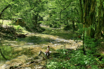 Конный маршрут «Долина Пседаго»