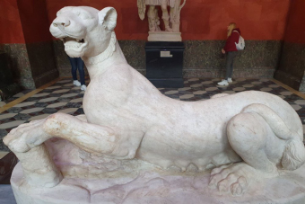 Персональные занятия с детьми в Эрмитаже