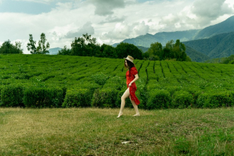 Сочи, который вы не знали: дикая природа Солох-Аула, с комфортом