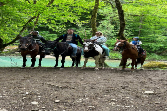 Конная прогулка по заповедным тропам