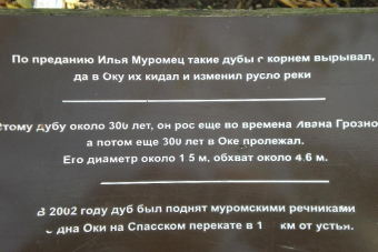 Из Москвы в Муром с гидом-психологом (2 дня) - цена 28000 ₽,1 отзыв