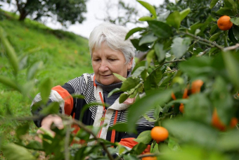 В Абхазию на джипах с вином, песней и ветерком