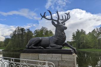 Велопрогулка по Павловскому парку