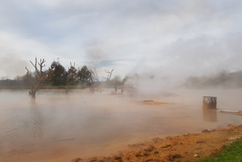 Эксклюзивный тур в абхазскую семью