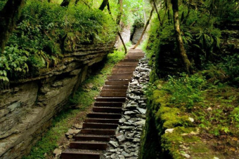 Загадки древнего леса. Ущелье реки Хоста