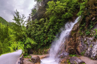 В Абхазию на минивэне Toyota, Volkswagen: Гагра, Мандариновый сад и Рица!