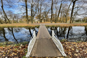 Павел I. Путь от наследника до императора (Царское Село и Павловск)