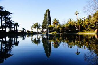 Рицинский заповедник и другие красоты Абхазии на минивэне