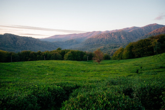 Водопады, чай и Сталин с фотосетом на камерофон Vivo X200