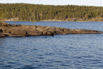 Карельские пейзажи на ретропоезде 2. Лайт (на Ласточке из Петербурга)