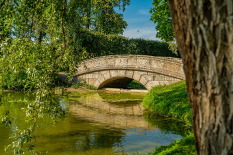 Вечерняя экскурсия в Царское Село: магия заката и величие архитектуры