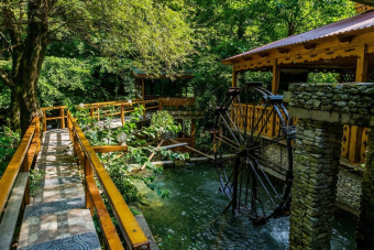 Восточная Апсны: Сухум, термальный источник Кындык и мандариновый сад