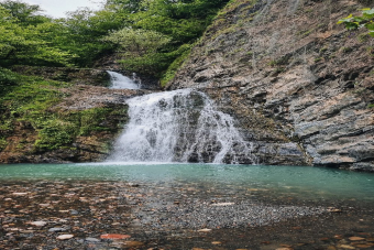 Активный день в Сочи: поход к змейковский водопадам через плантации чая