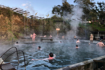 Термальные источник + Сухум + ущелье Черниговка (с завтраком)