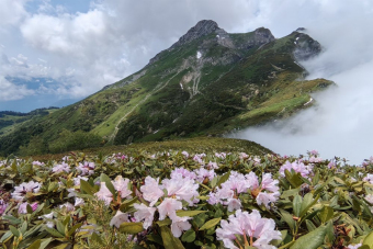 Треккинг по хребту Аибга на перевал Седой