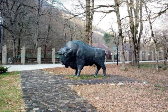 В мире животных или знакомство с фауной Кавказа