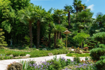 Нити времени: иммерсивная прогулка в Сочи