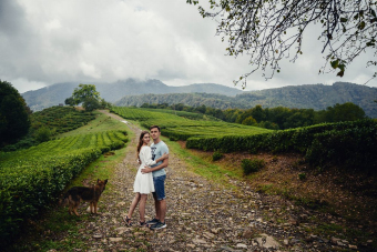 Фототур на чайную плантацию и водопад