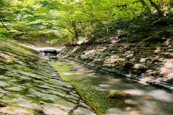 Авторский тур в Мацесту с посещением винодельни