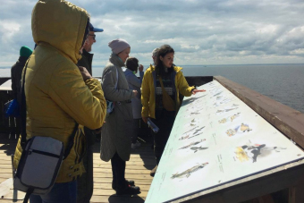 Природная экскурсия по экотропе Западный Котлин