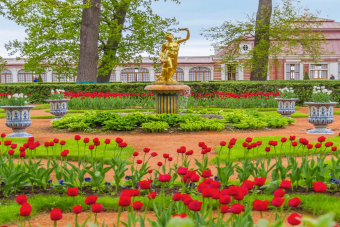 Экскурсия в Петергоф на автомобиле: фонтаны и малый дворец на выбор