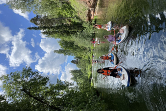 Сап-прогулка по реке Оредеж