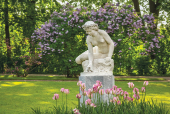 Пушкин (Царское Село): Екатерининский дворец, парк и Янтарная комната