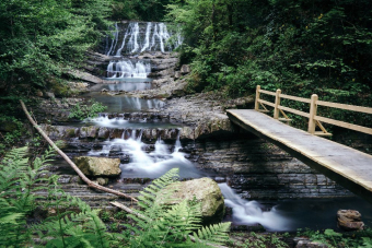 Экскурсия на Змейковские водопады и в Агурское ущелье