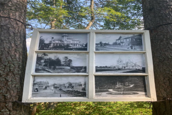 Комарово (Лесная сторона). От старинных дач до 