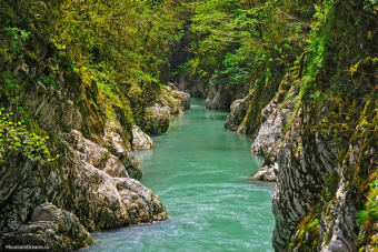 Незабываемая природа местных субтропиков